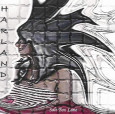 Salt Box Lane CD Cover
