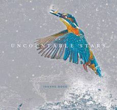 Joanne Hogg - Uncountable Stars - CD Cover